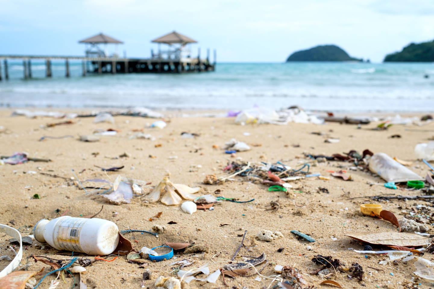 ¿Por qué debes evitar el uso de plásticos?